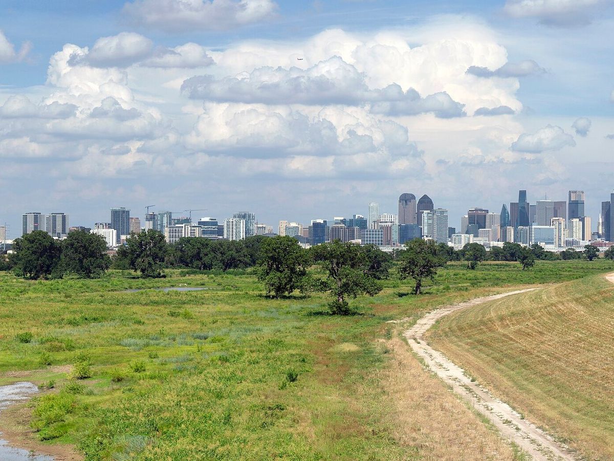 The downtown Dallas skyline seen across the grassy Trinity River levee